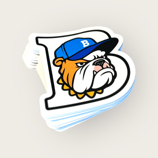 10 pack Logo Stickers